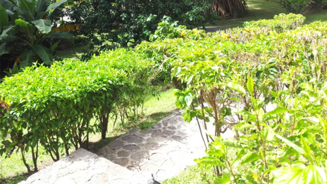 Photo of Outdoor in Fond Cani