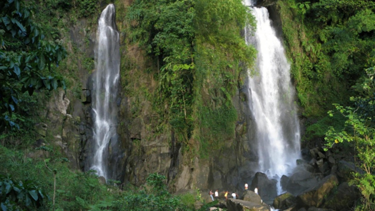 Photo of Outdoor in Fond Cani
