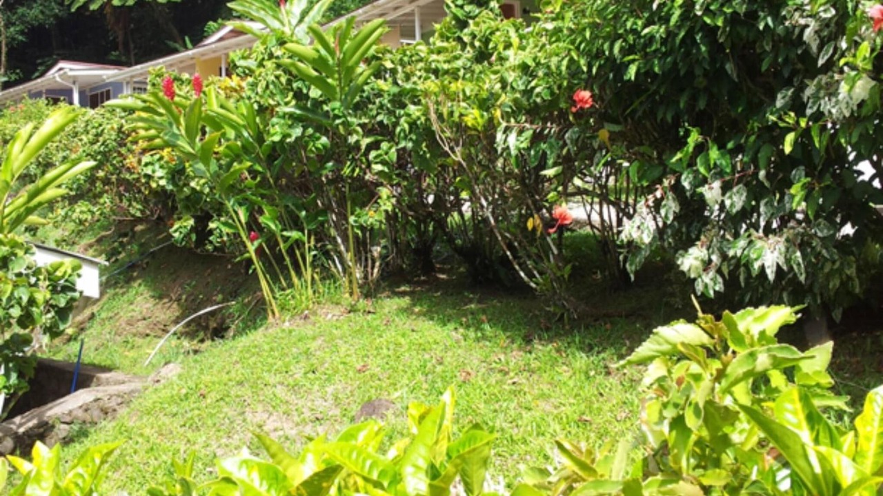 Photo of Outdoor in Fond Cani