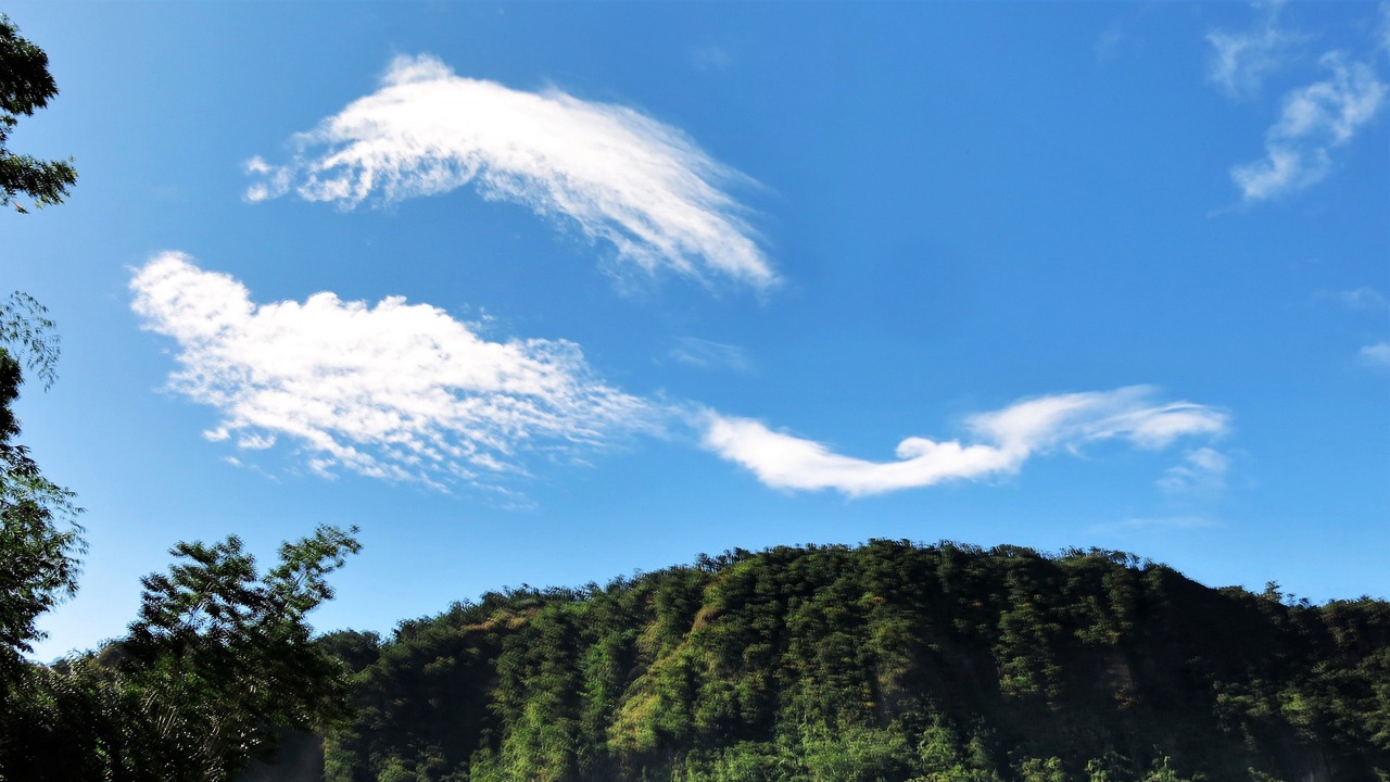 Photo of Outdoor in Fond Cani