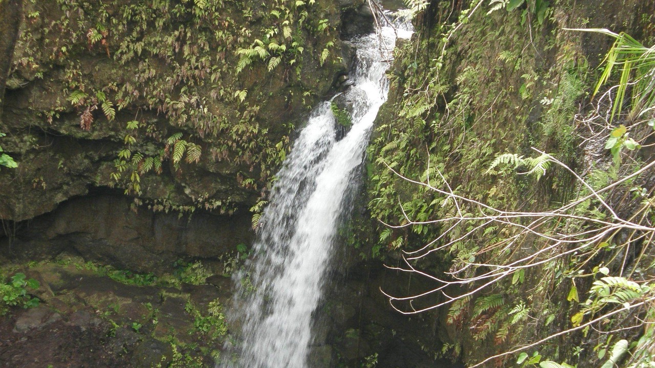 Photo of Outdoor in Salisbury