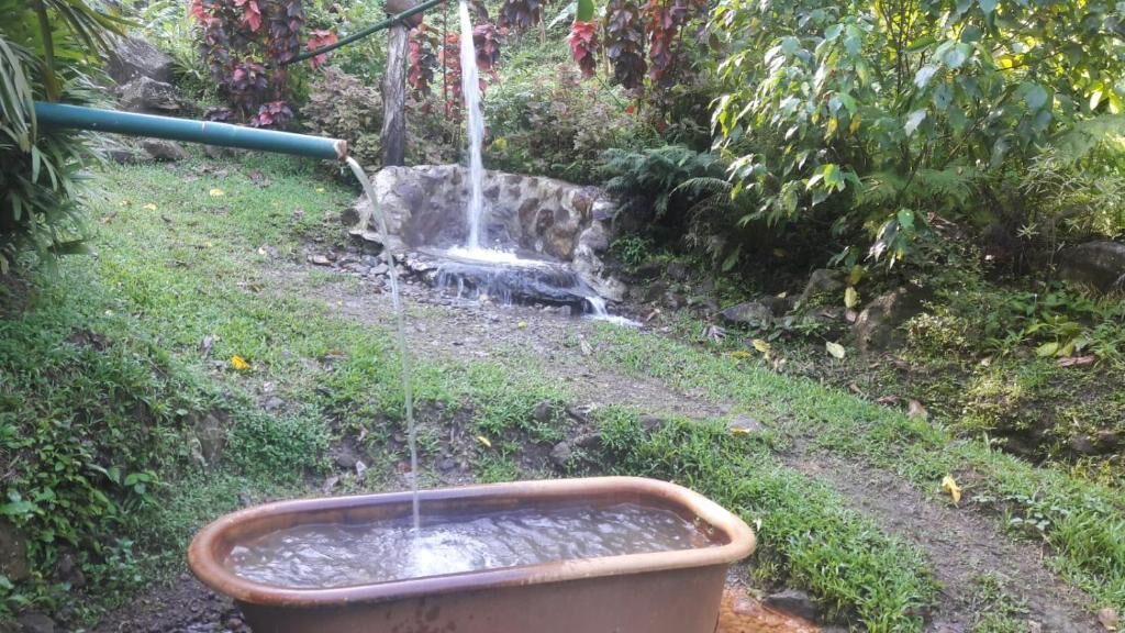 Photo of Outdoor in Wotten Waven