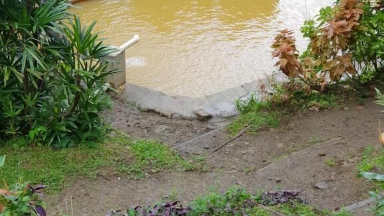 Photo of Outdoor in Wotten Waven