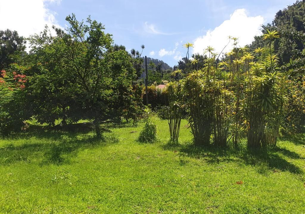 Photo of Outdoor in Wotten Waven