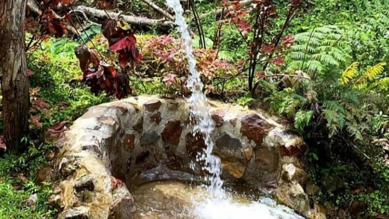 Photo of Outdoor in Wotten Waven
