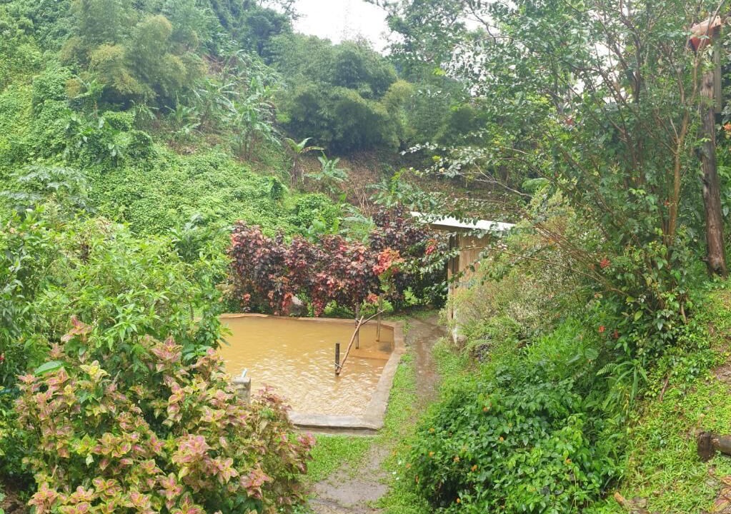 Photo of Outdoor in Wotten Waven