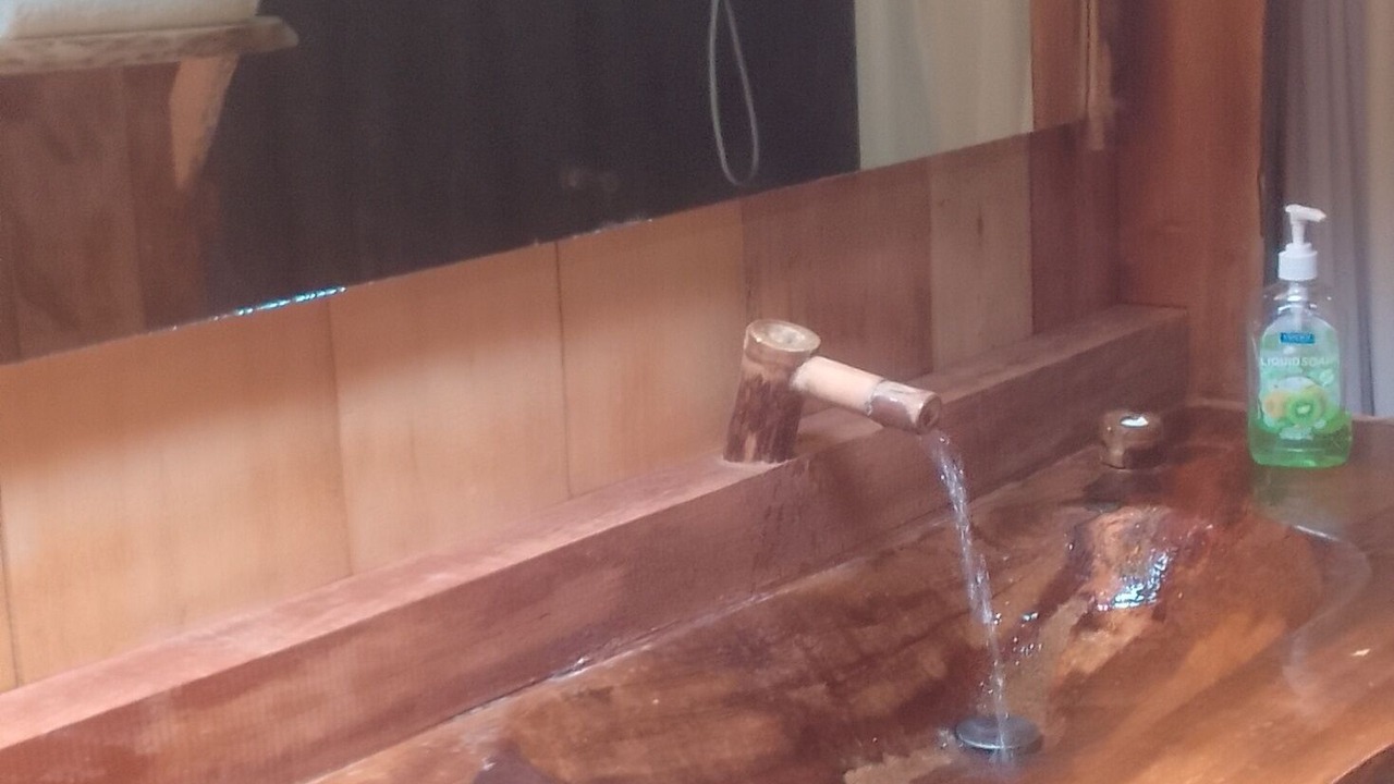 Photo of Bathroom in Saint George Parish