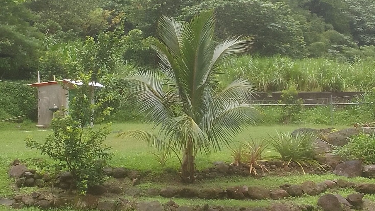 Photo of Outdoor in Saint George Parish