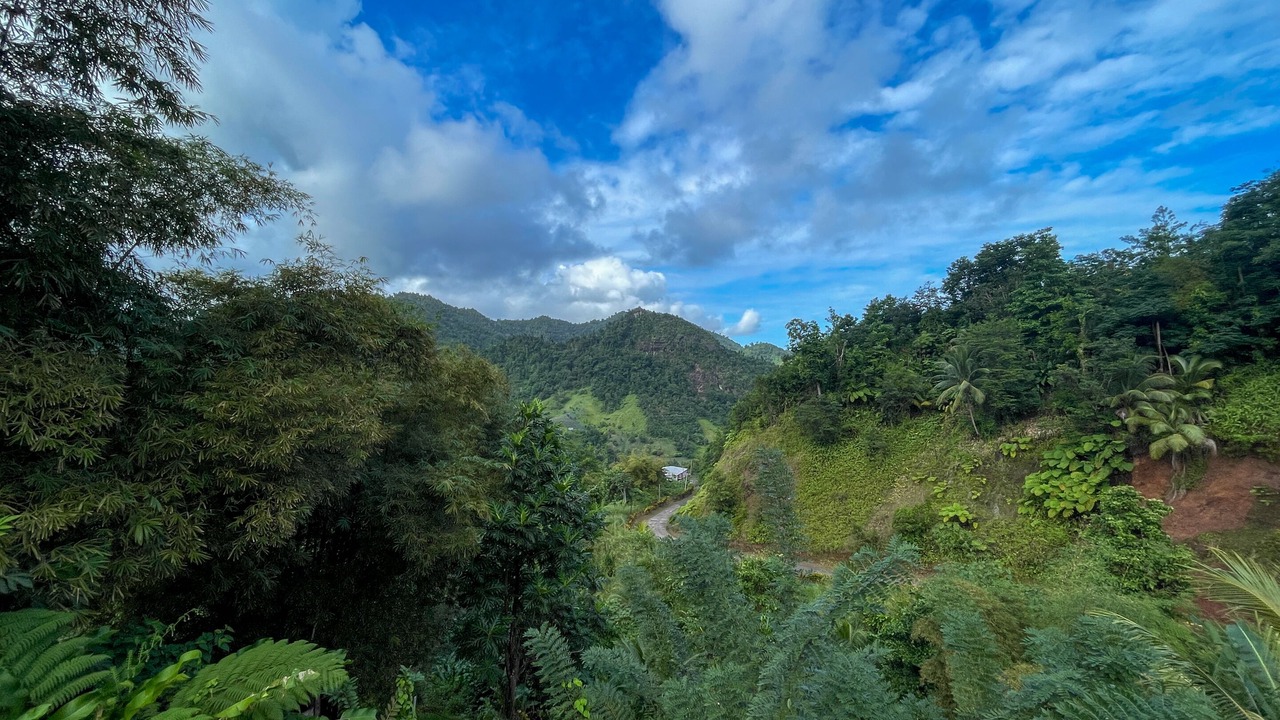 Photo of Outdoor in Barroui