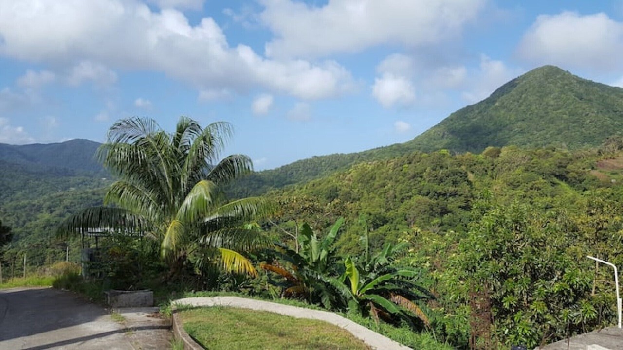 Photo of Outdoor in Vieille Case