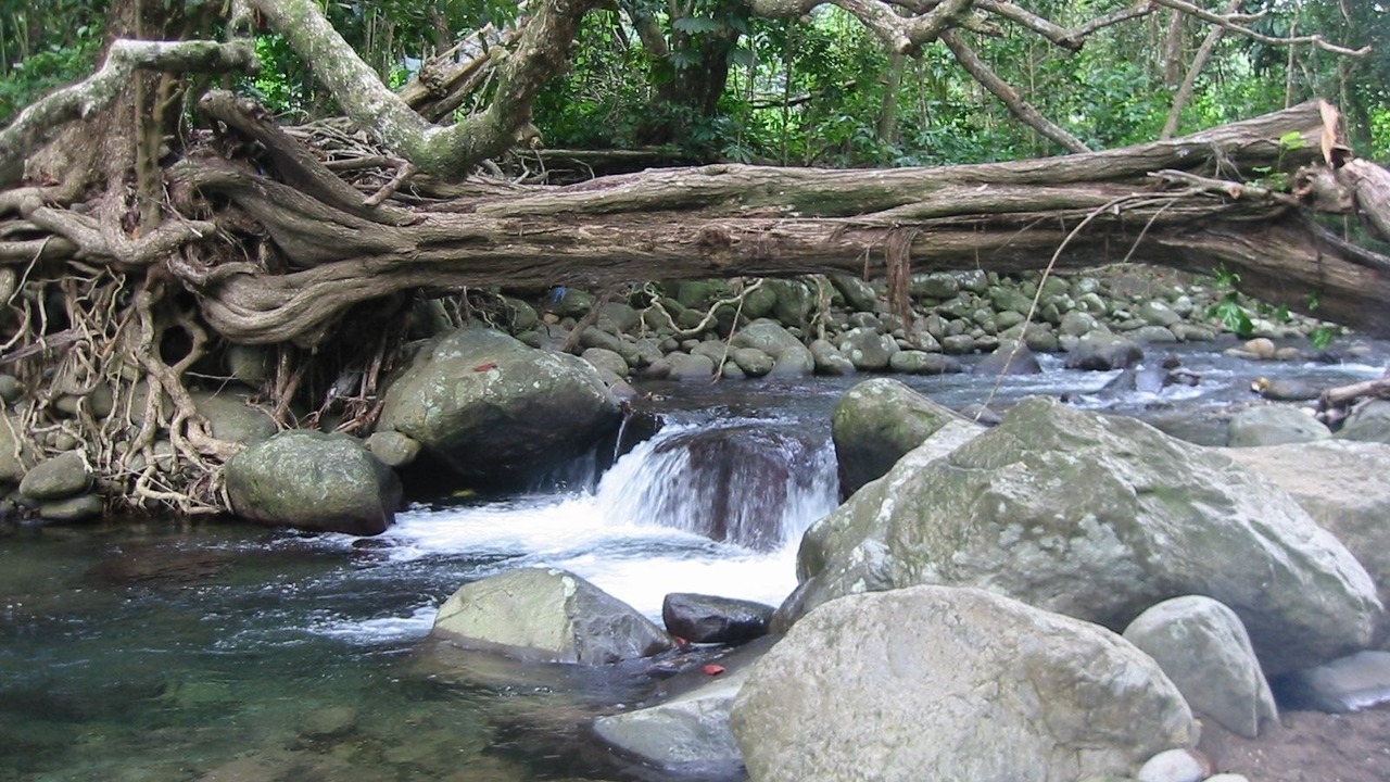 Photo of Outdoor in La Plaine