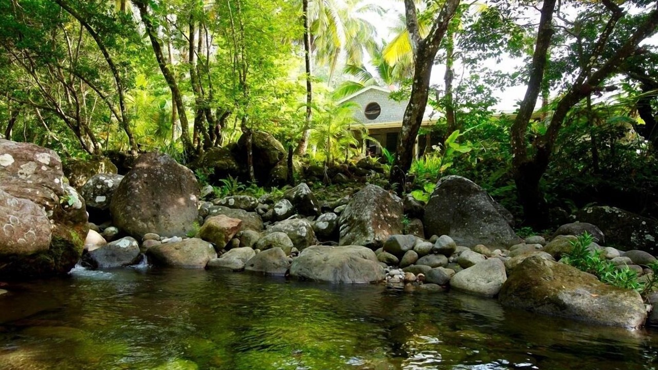 Photo of Outdoor in La Plaine