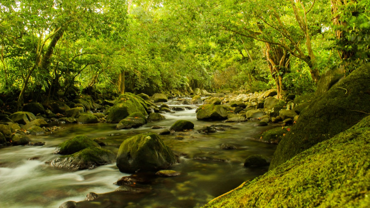 Photo of Outdoor in La Plaine