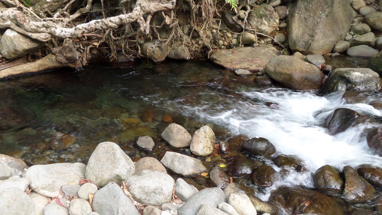 Photo of Outdoor in La Plaine