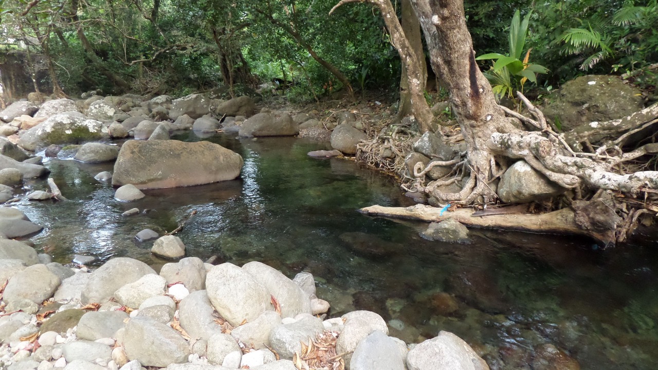 Photo of Outdoor in La Plaine