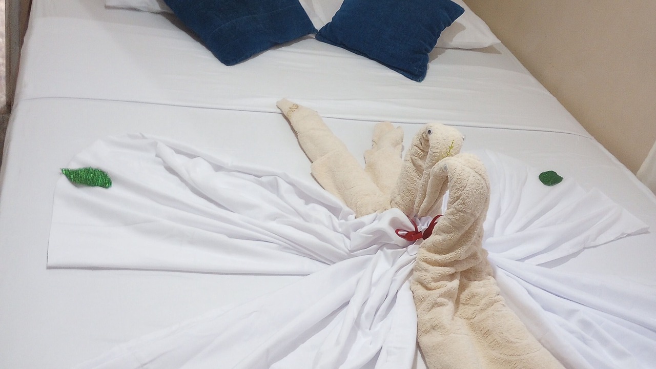 Photo of Bedroom in Fond Cani