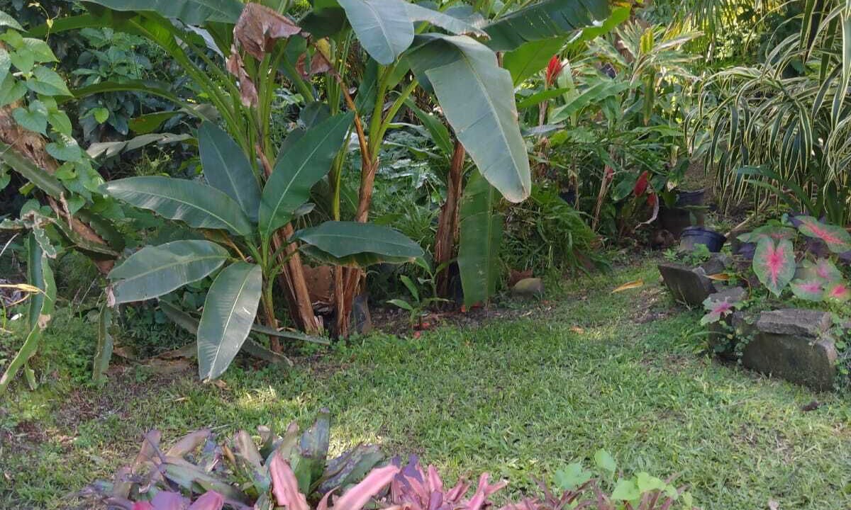 Photo of Outdoor in Fond Cani