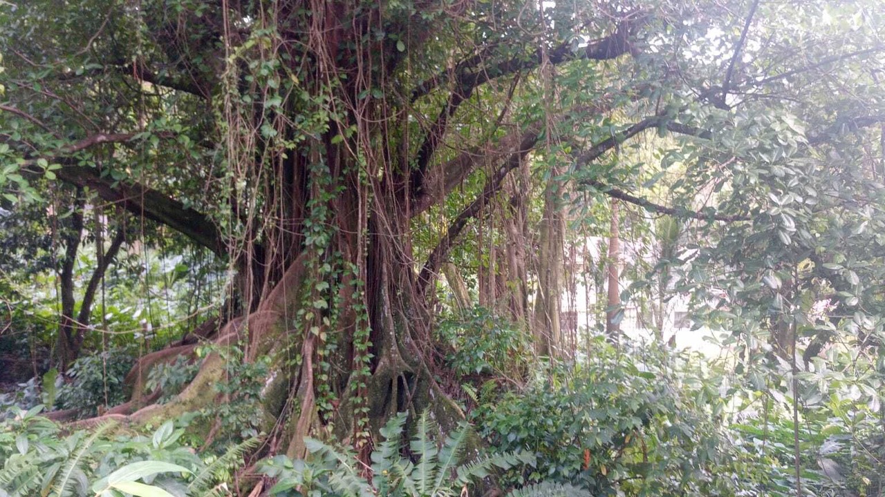 Photo of Outdoor in Fond Cani