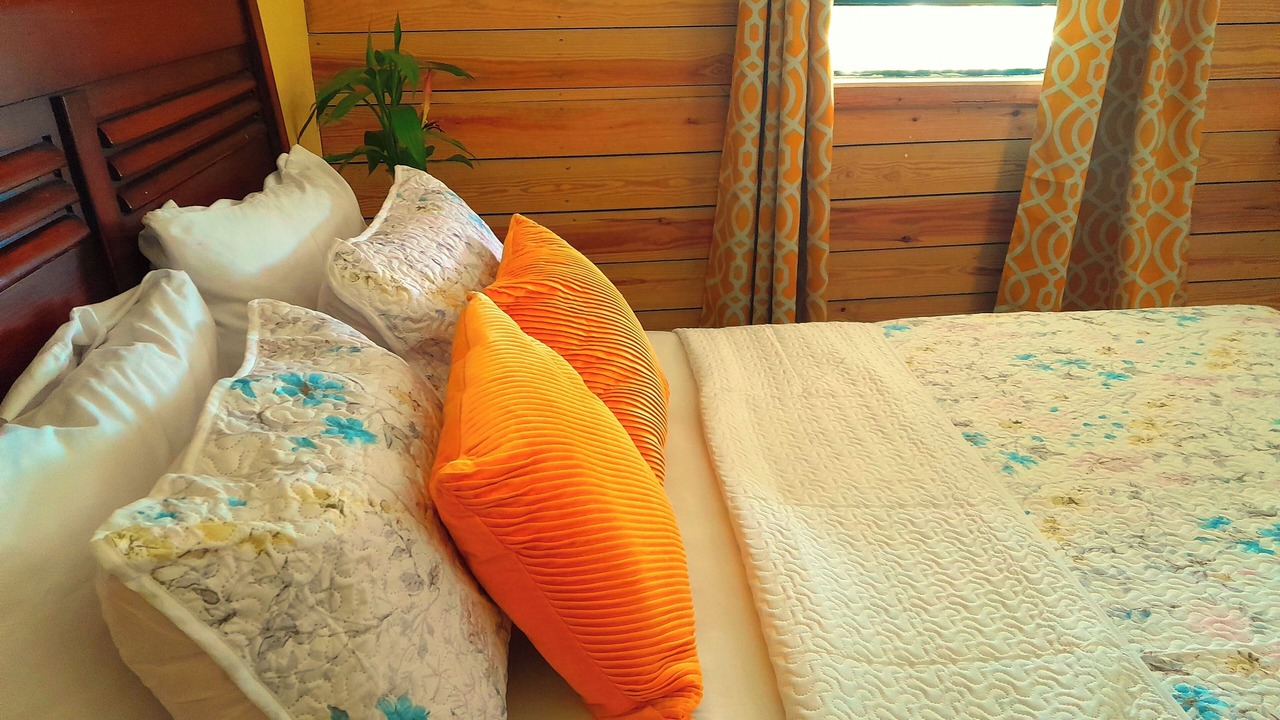 Photo of Bedroom in Pointe Michel
