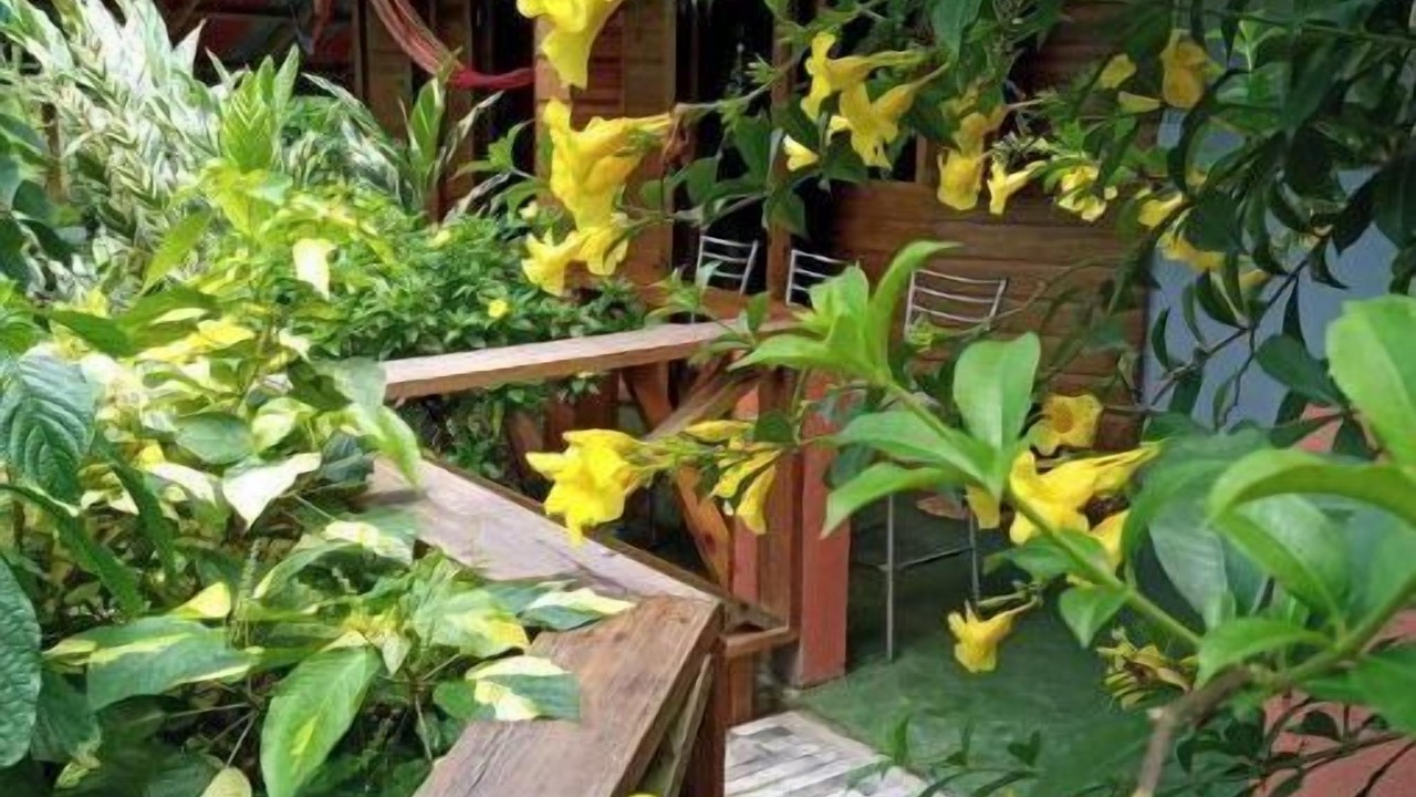 Photo of Outdoor in Trafalgar