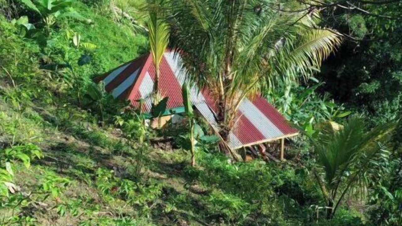 Photo of Outdoor in Trafalgar