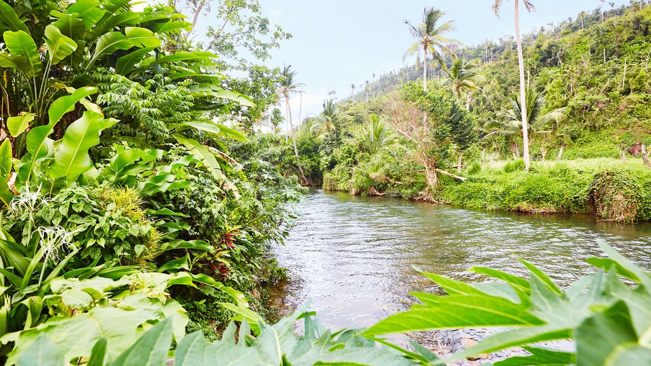Photo of Outdoor in Marigot