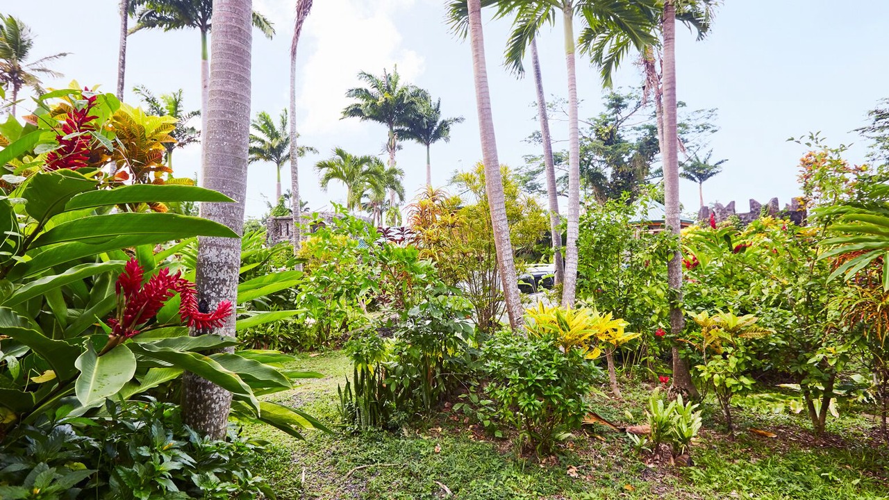 Photo of Outdoor in Marigot