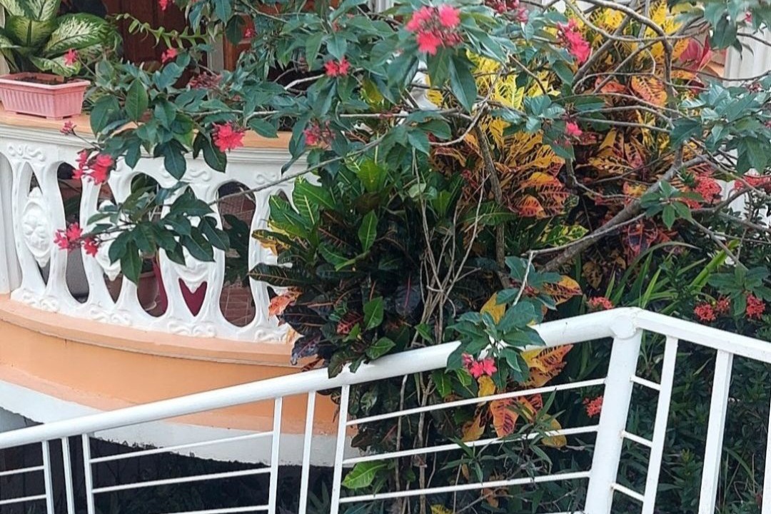 Photo of Outdoor in Mahaut