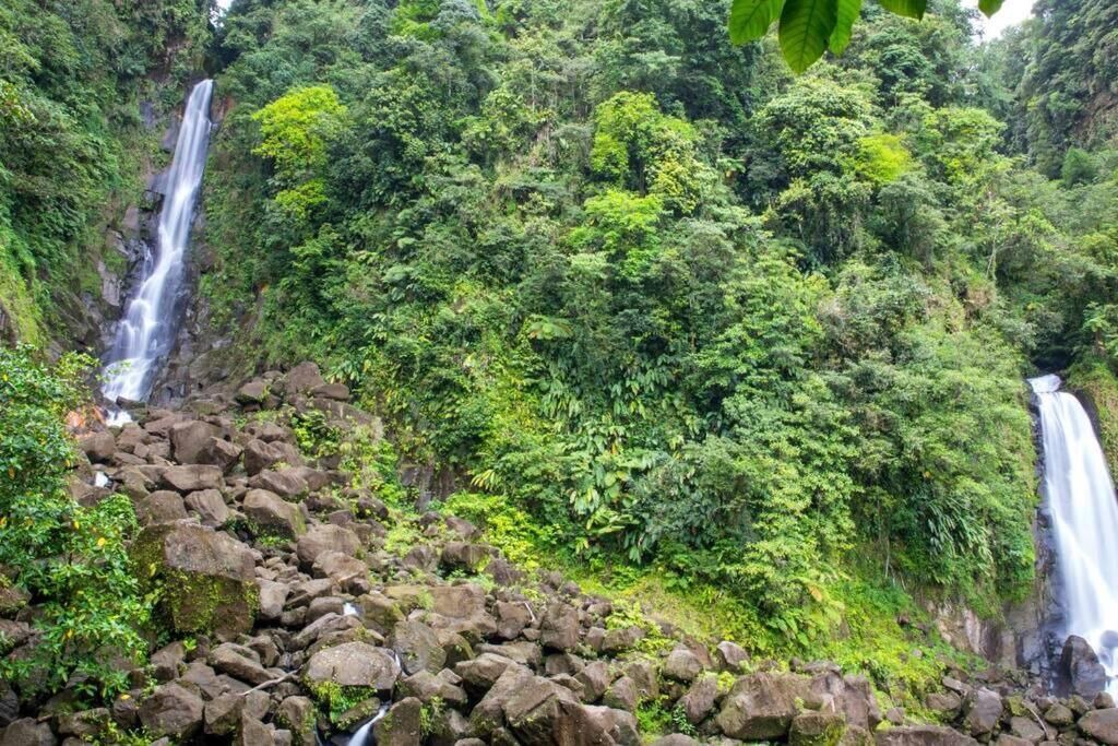 Photo of Outdoor in Fond Cani