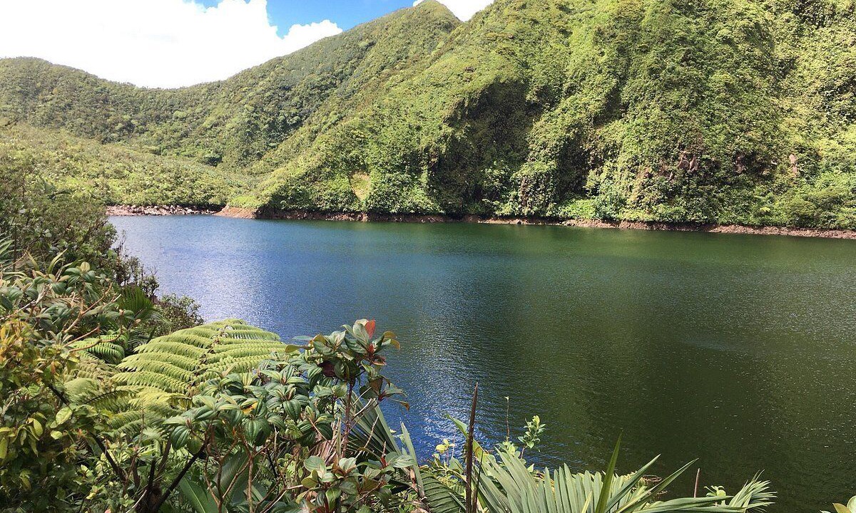 Photo of Outdoor in Fond Cani