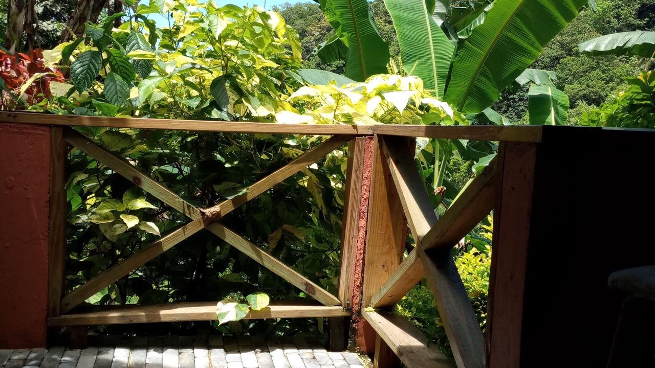 Photo of Patio Balcony in Fond Cani