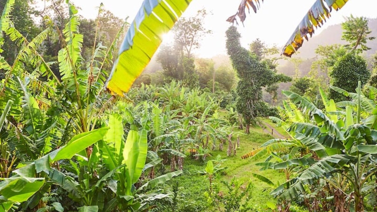Photo of Outdoor in Fond Cani