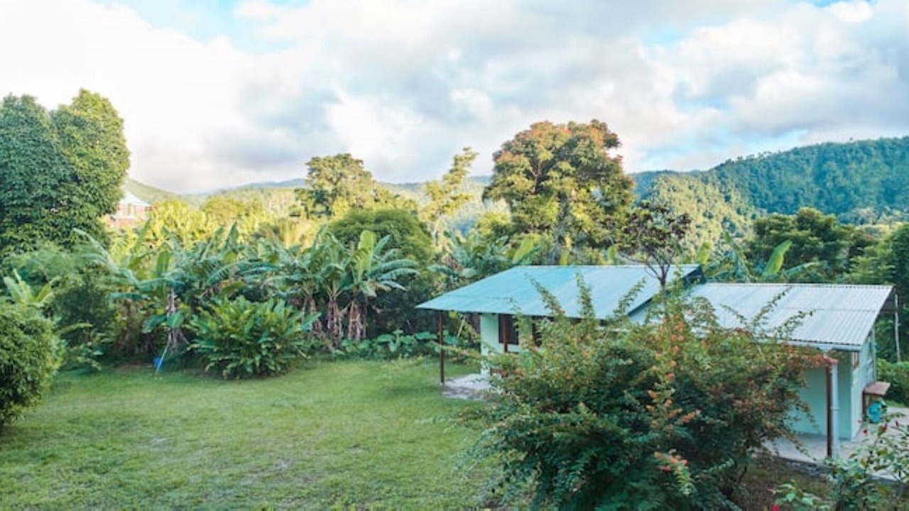 Photo of Outdoor in Fond Cani