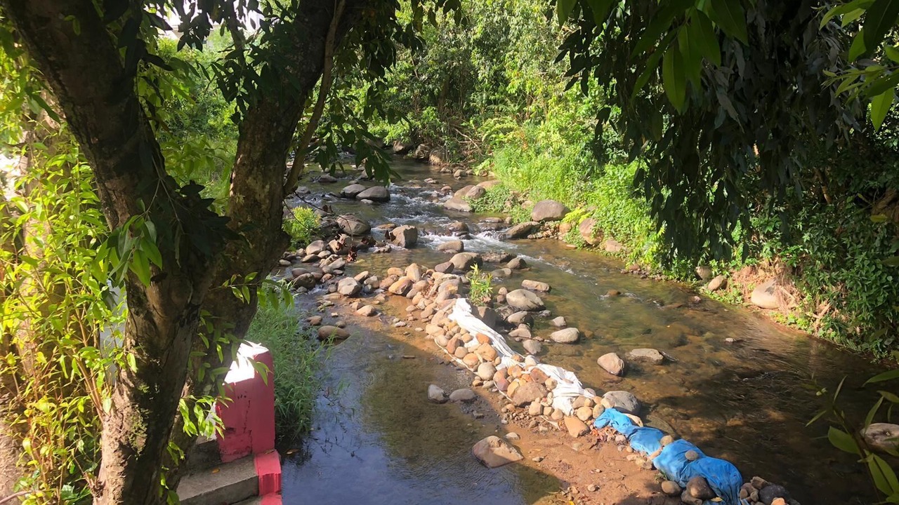 Photo of Outdoor in Picard