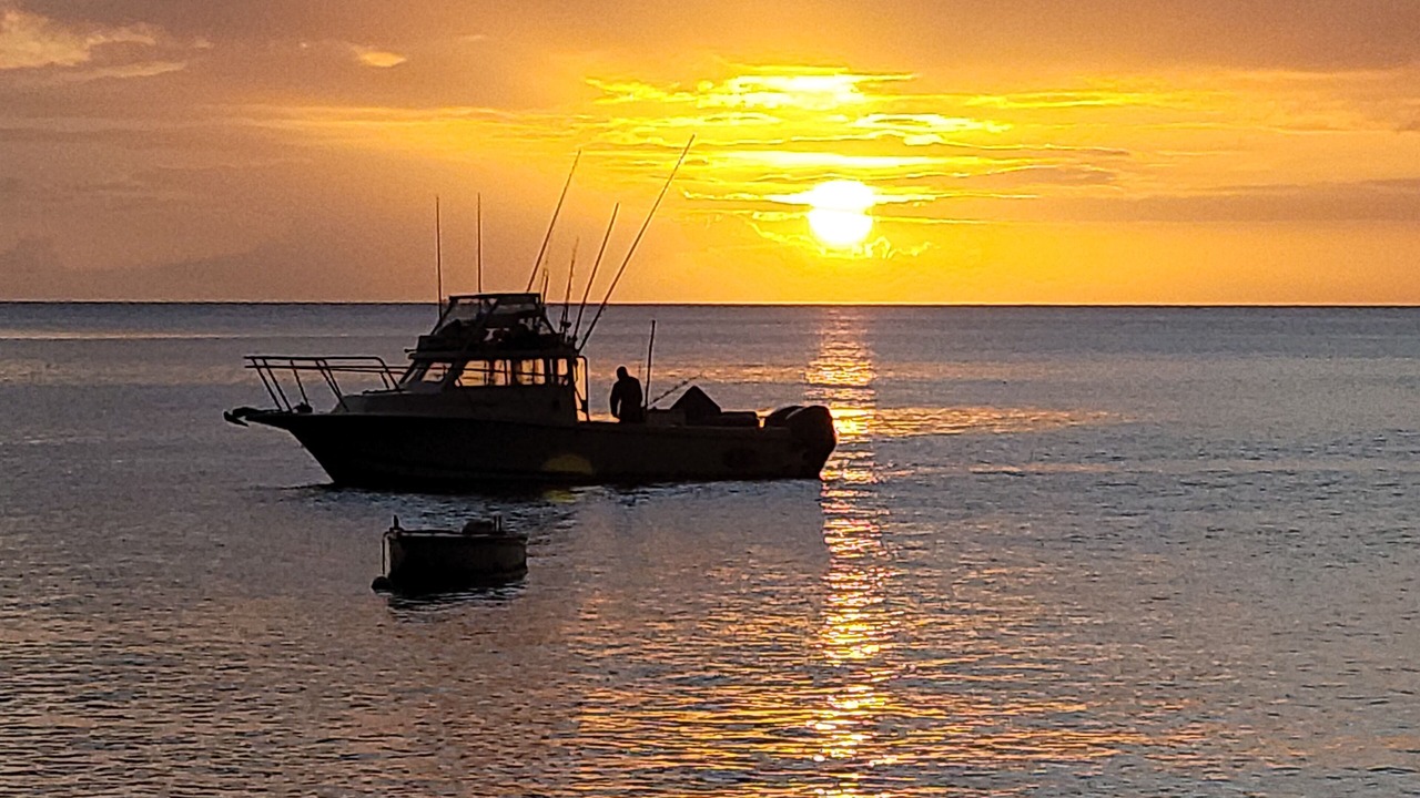 Photo of Others in Marigot
