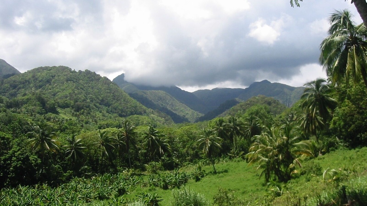 Photo of Outdoor in La Plaine