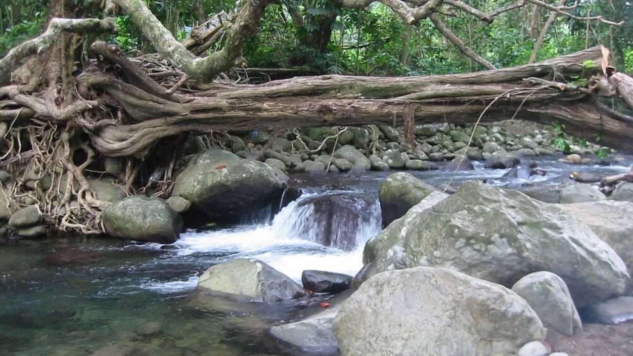 Photo of Outdoor in La Plaine