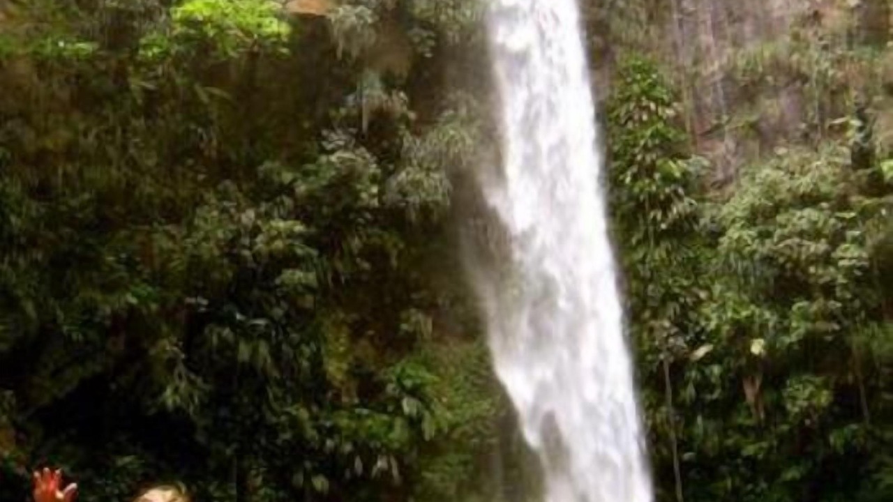 Photo of Outdoor in La Plaine