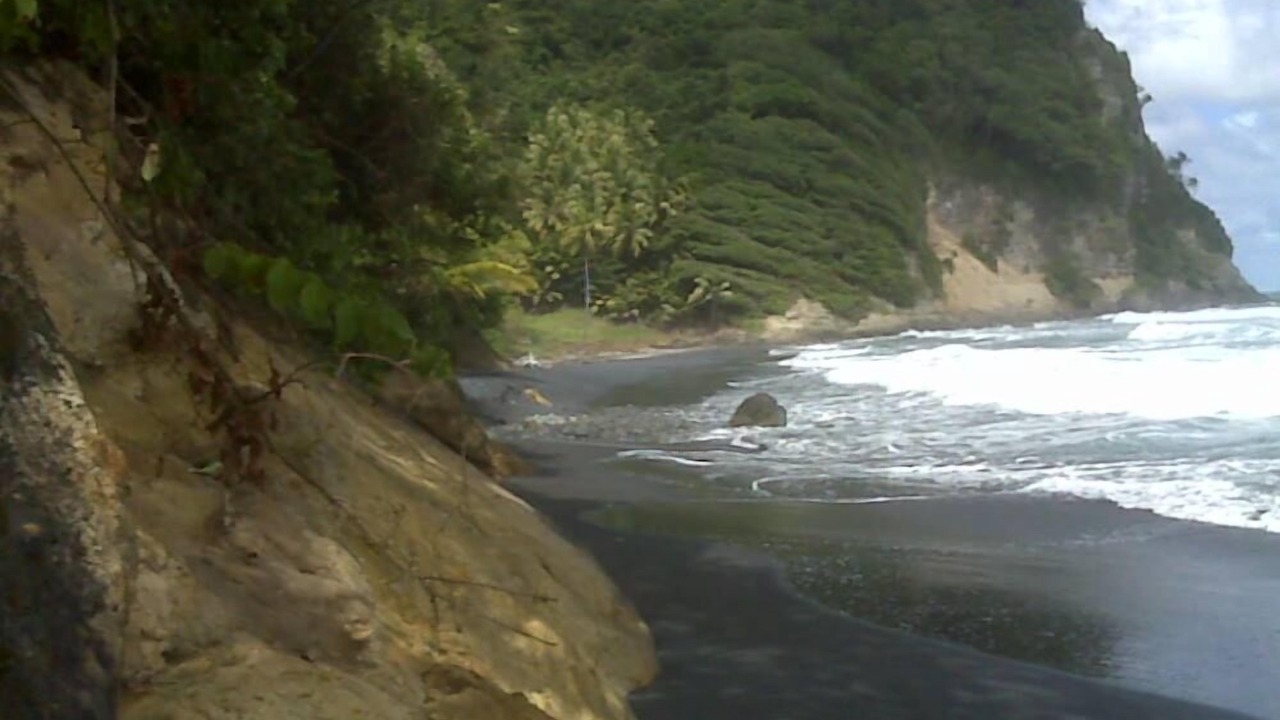 Photo of Others in La Plaine