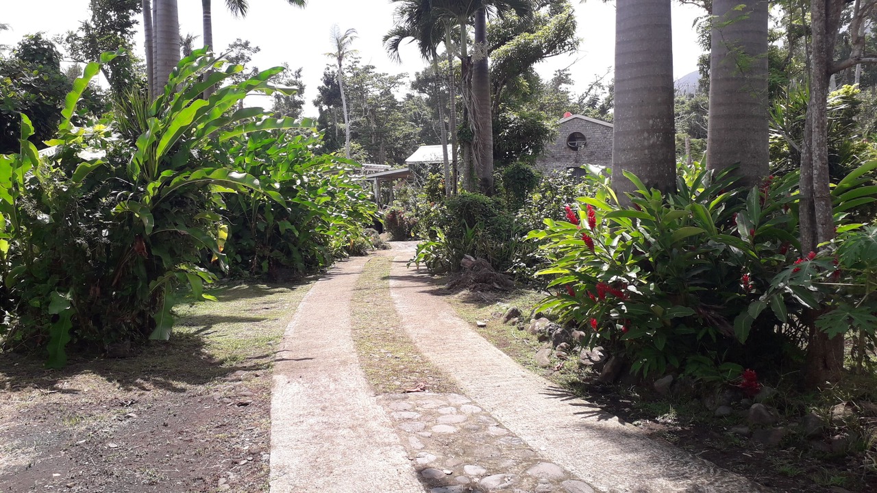 Photo of Outdoor in La Plaine