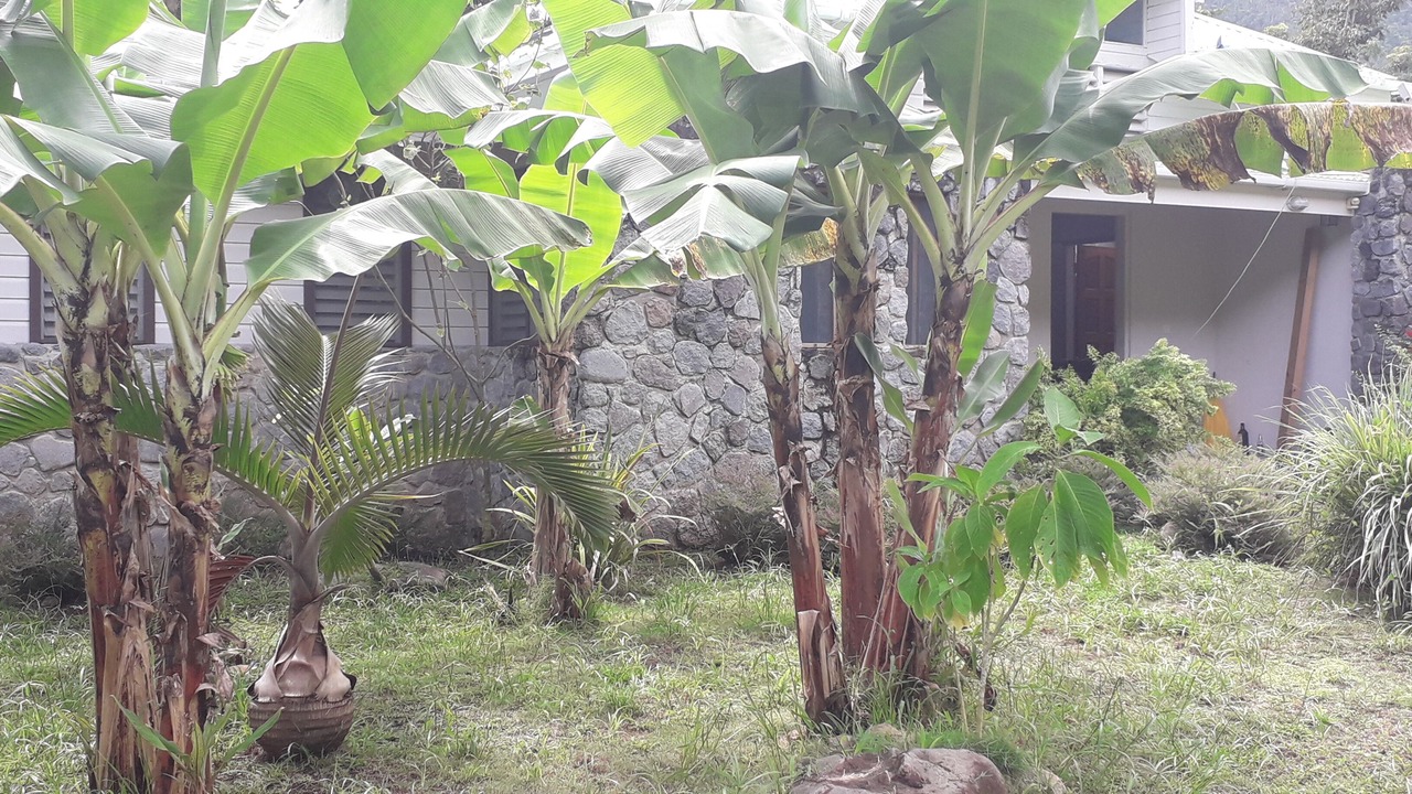 Photo of Outdoor in La Plaine