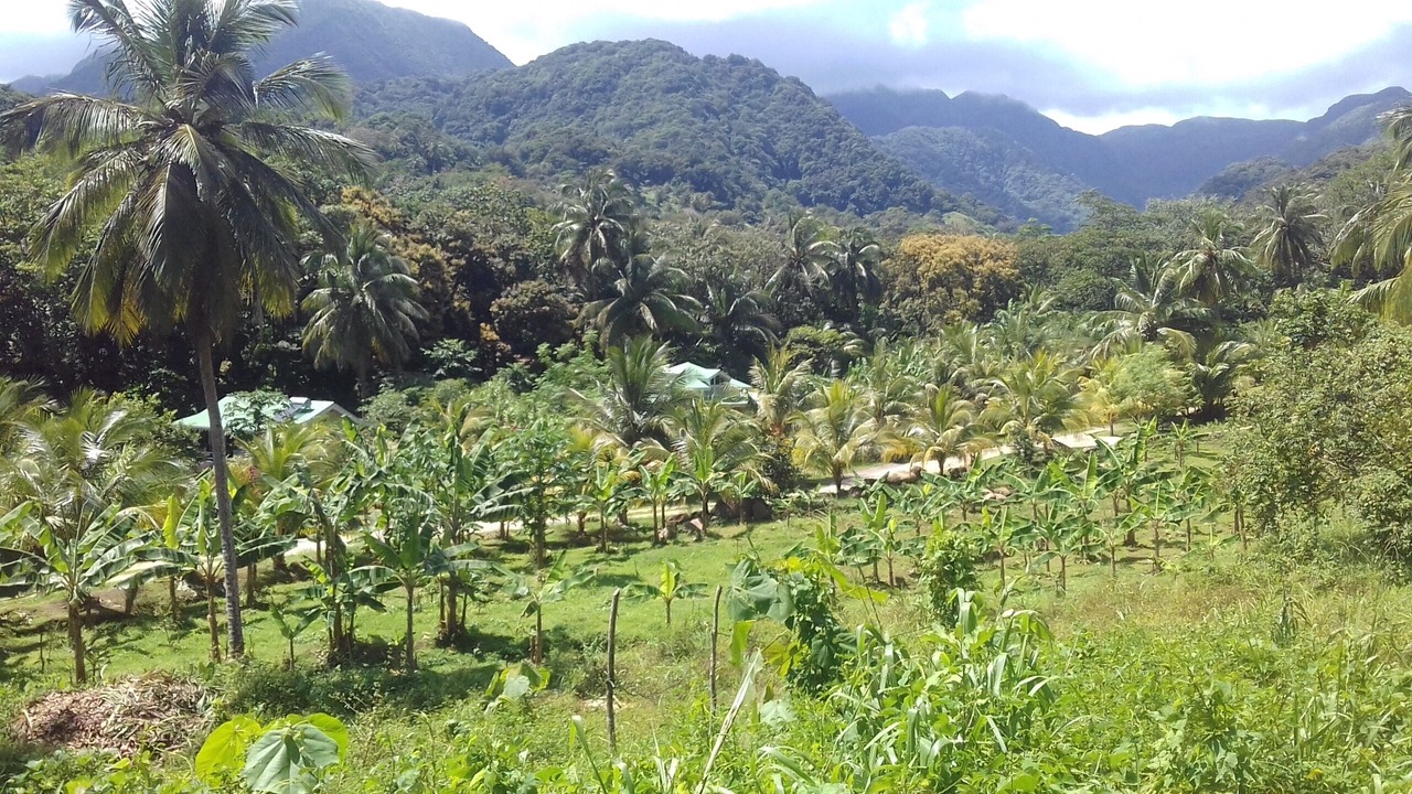 Photo of Outdoor in La Plaine