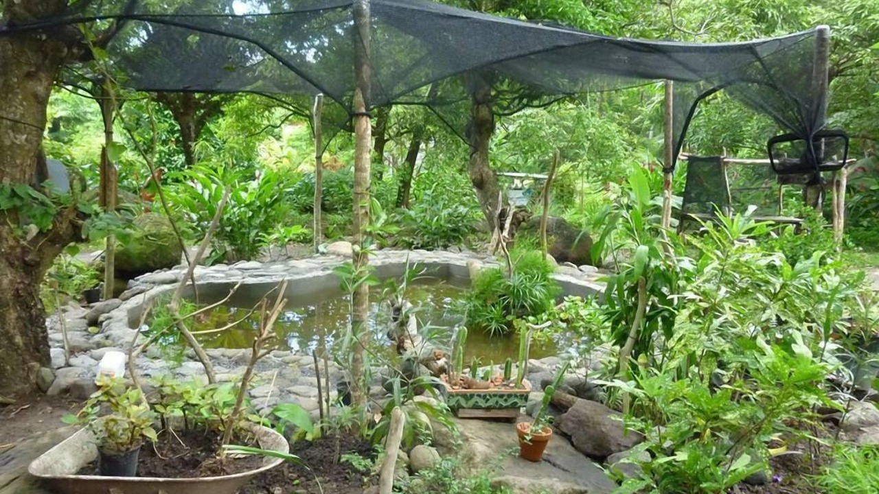 Photo of Outdoor in La Plaine