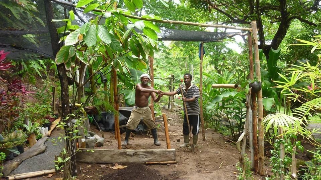 Photo of Outdoor in La Plaine