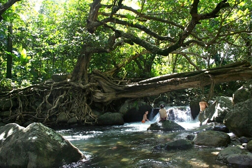 Photo of Outdoor in La Plaine