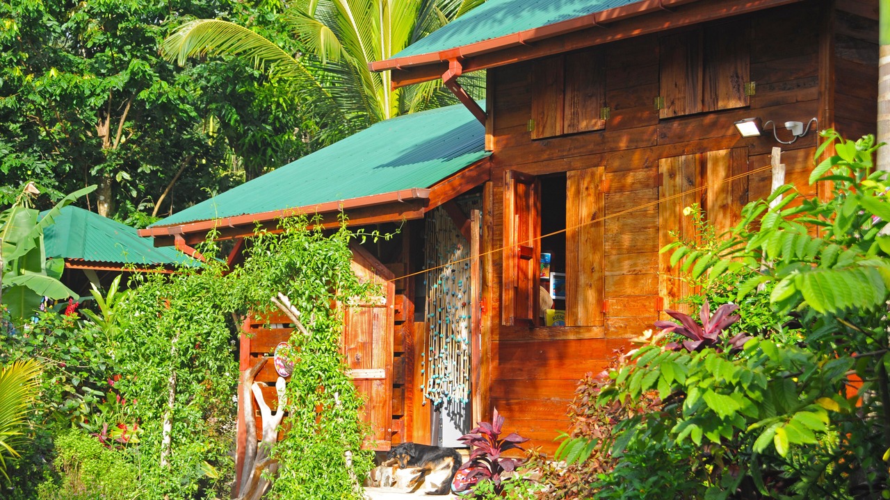 Photo of Outdoor in La Plaine