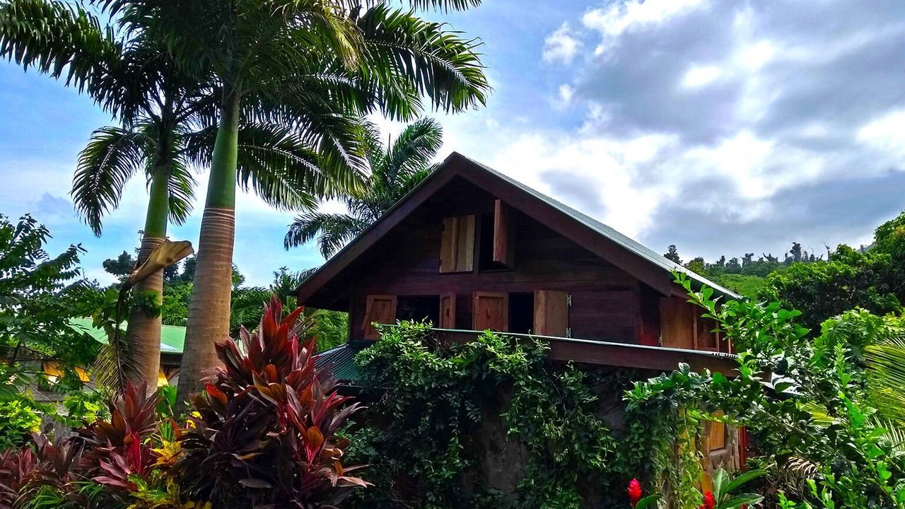 Photo of Outdoor in La Plaine