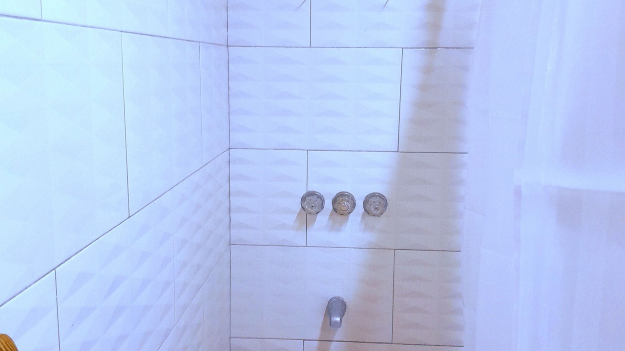 Photo of Bathroom in Loubiere
