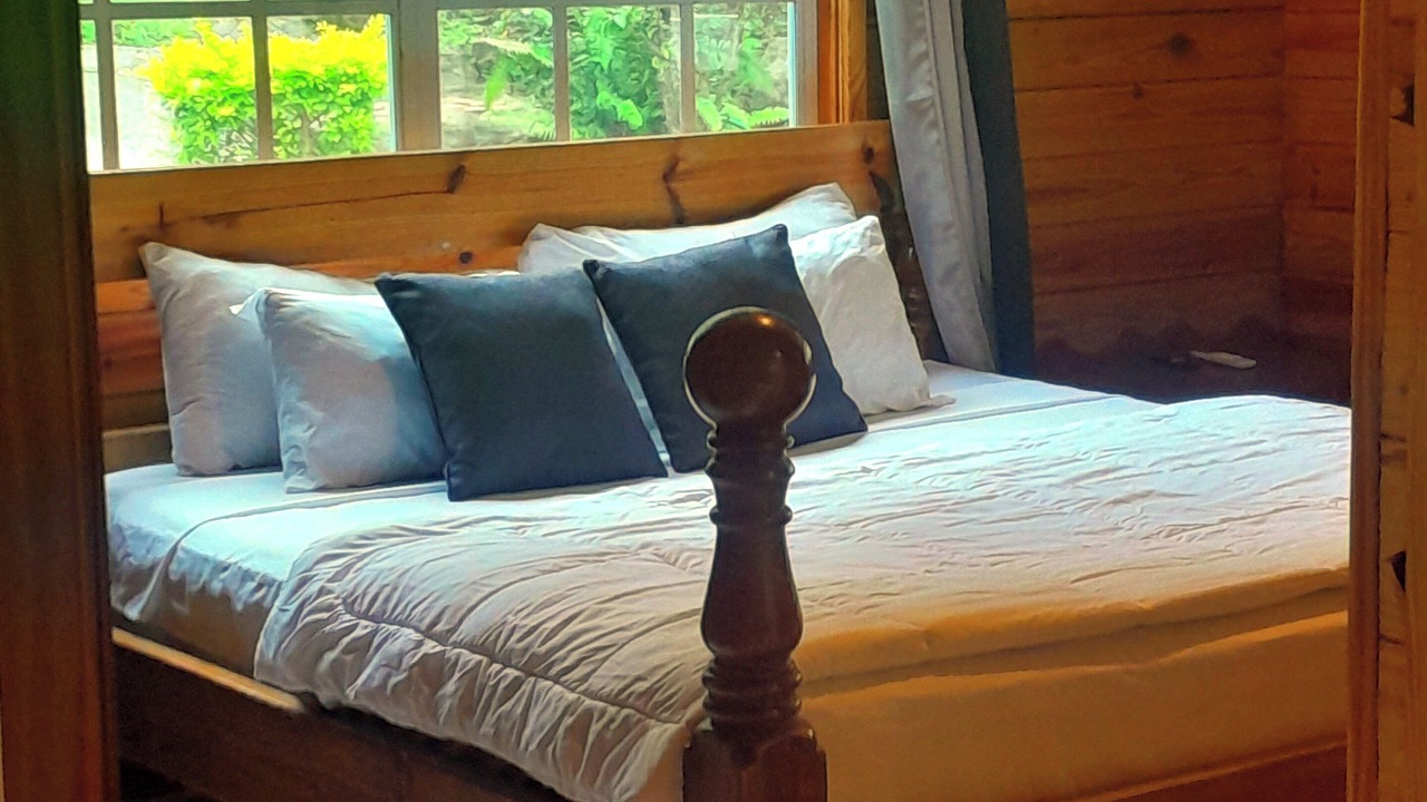 Photo of Bedroom in Loubiere