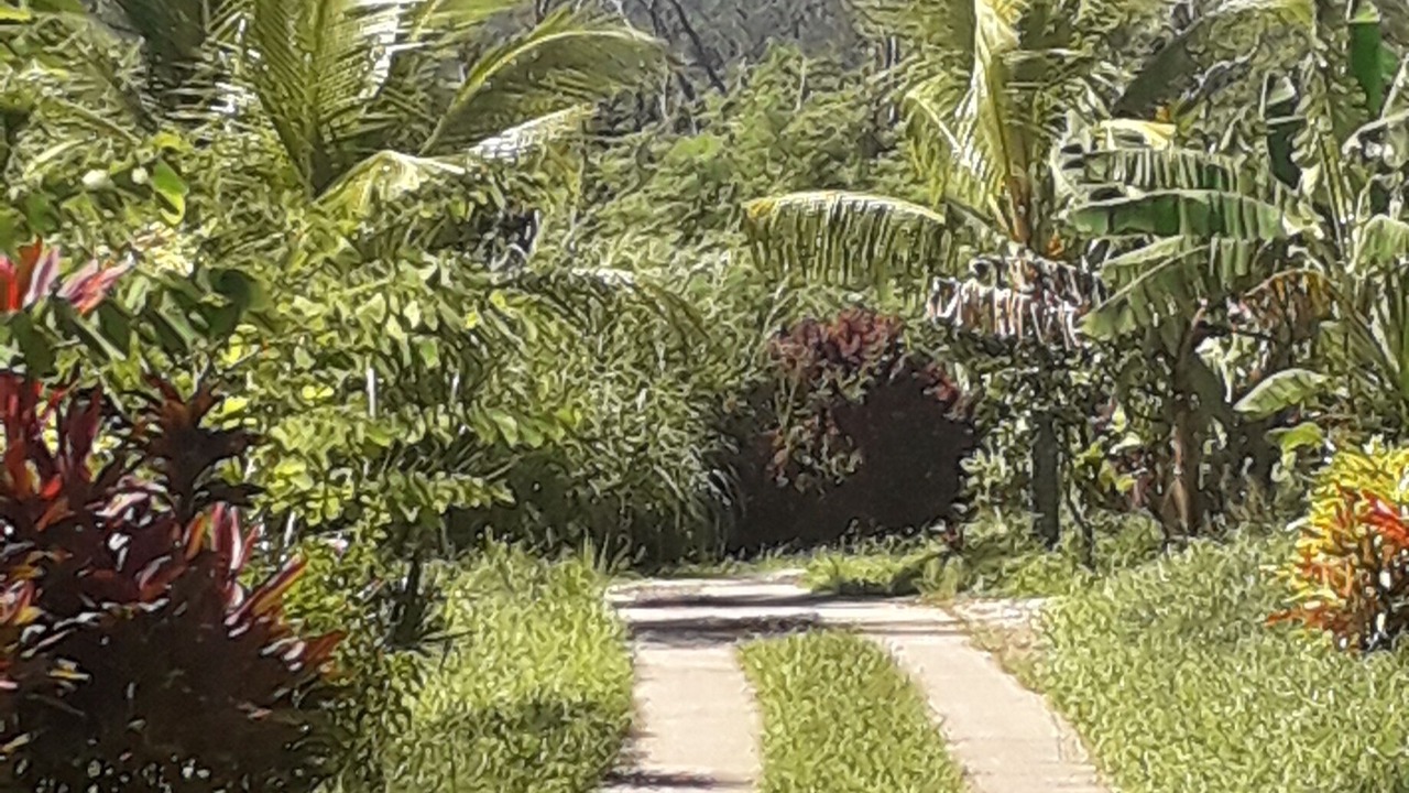 Photo of Outdoor in La Plaine